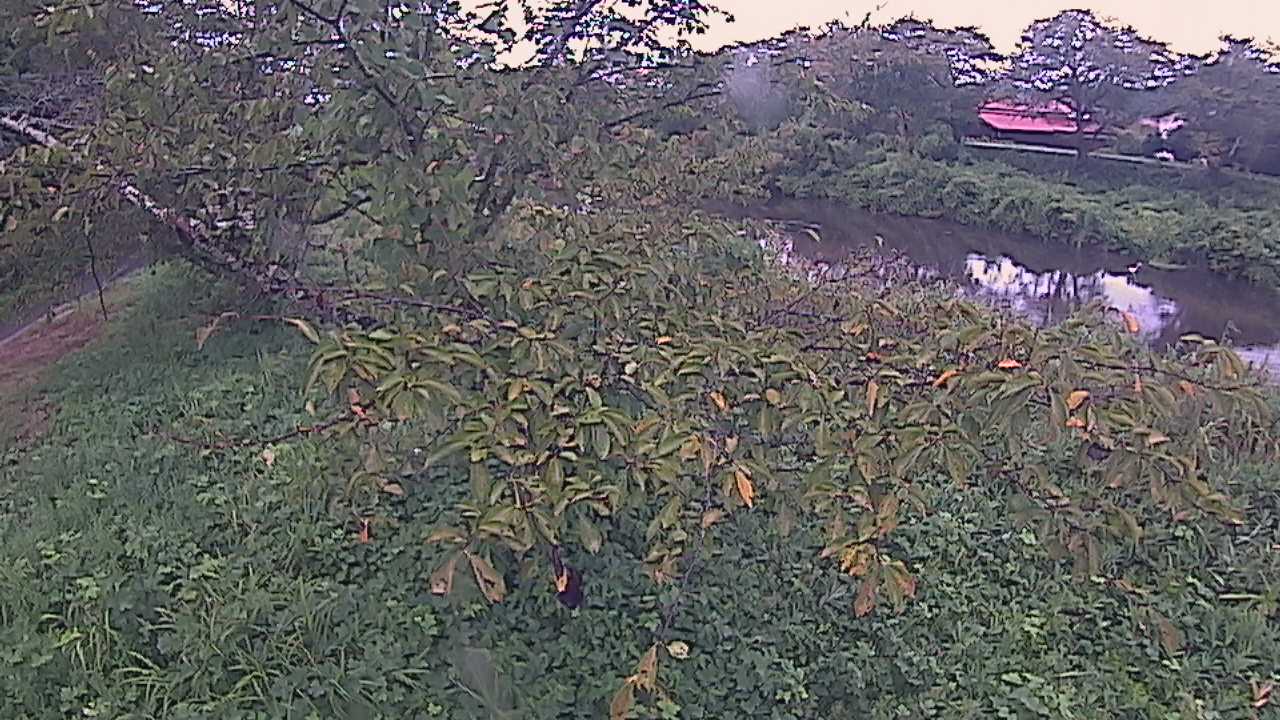 城山　法勝寺川 10k540 左岸