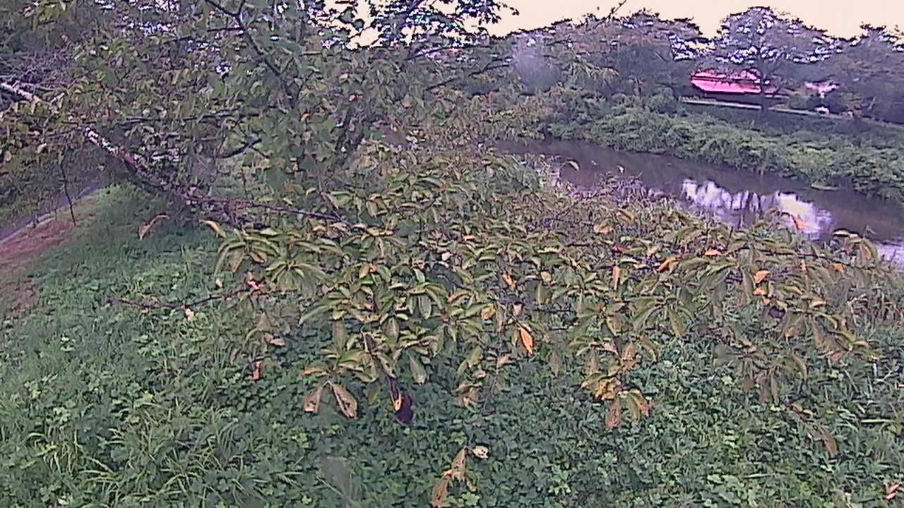 城山　法勝寺川 10k540 左岸
