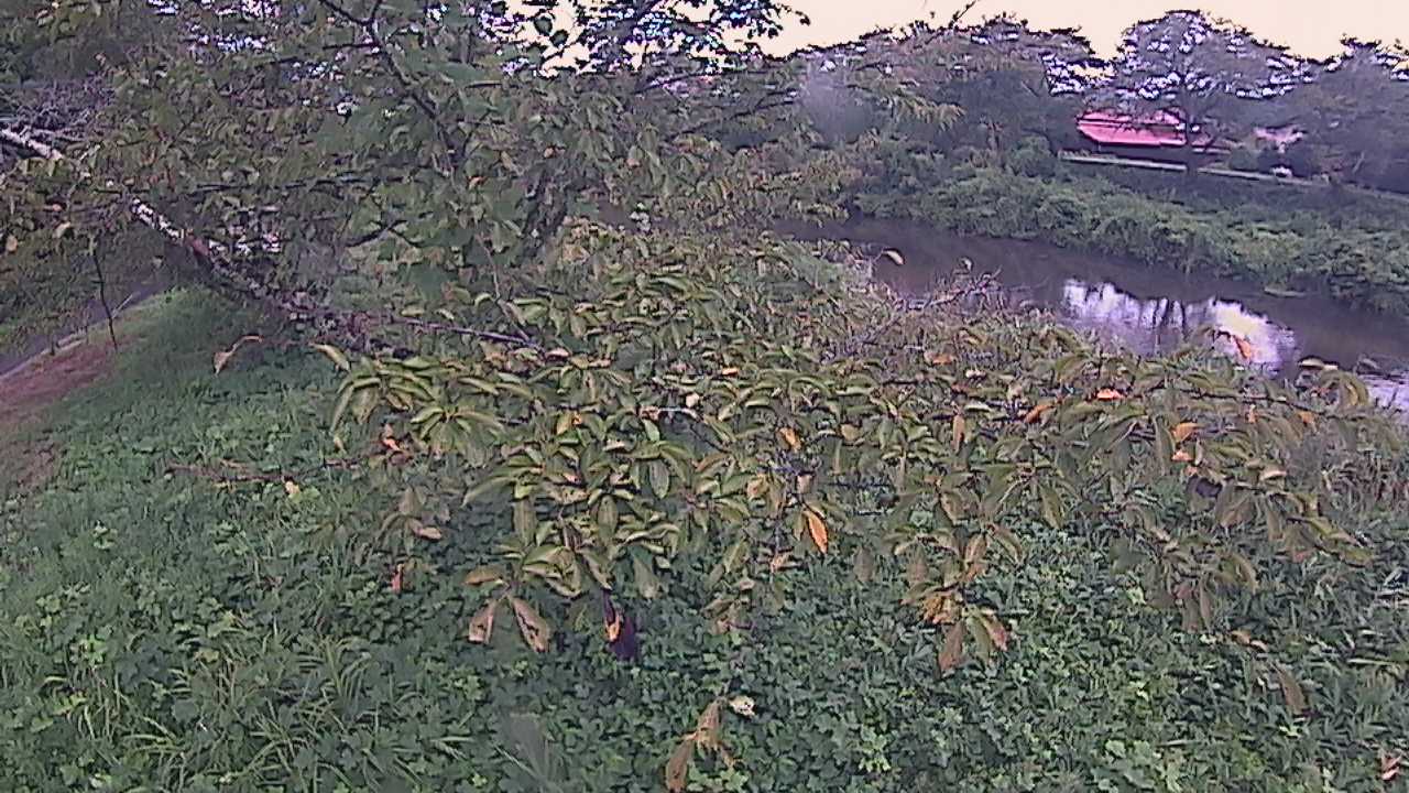 城山　法勝寺川 10k540 左岸