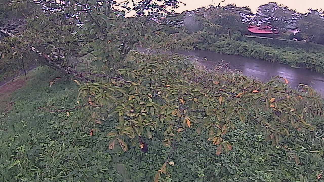 城山　法勝寺川 10k540 左岸