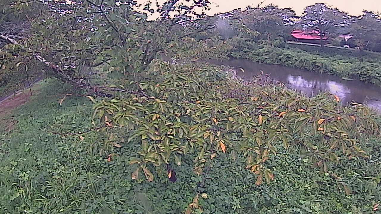 城山　法勝寺川 10k540 左岸