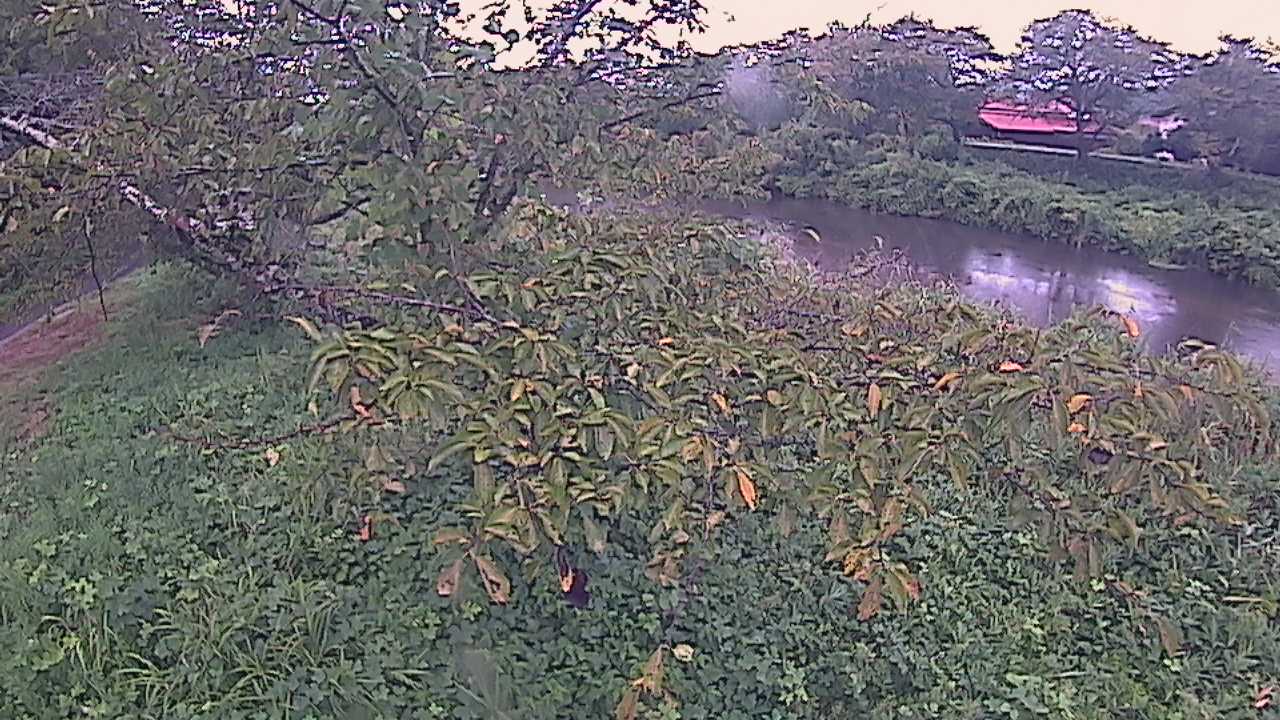 城山　法勝寺川 10k540 左岸