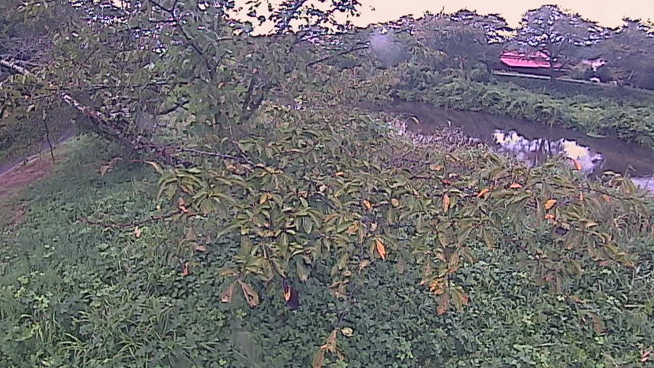 城山　法勝寺川 10k540 左岸
