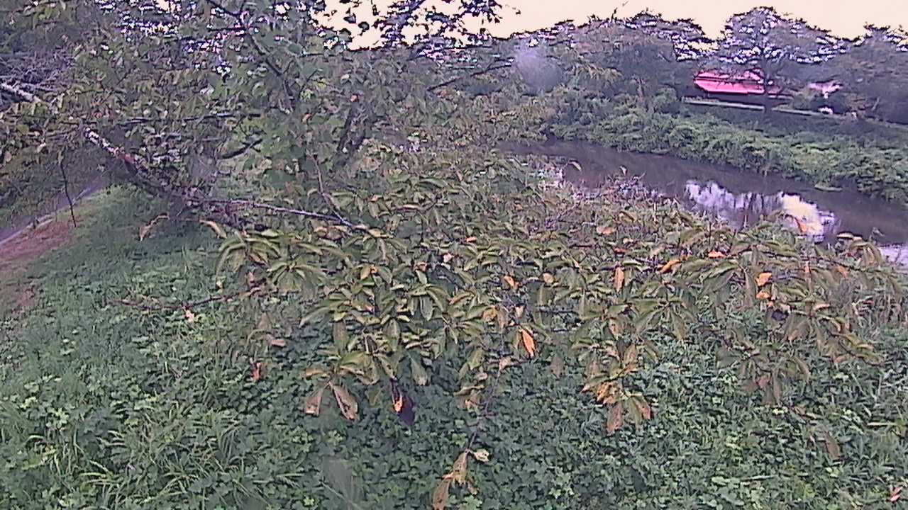 城山　法勝寺川 10k540 左岸