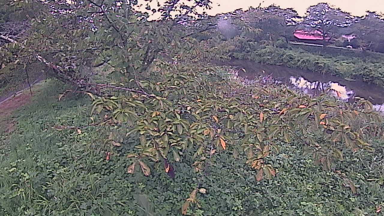 城山　法勝寺川 10k540 左岸