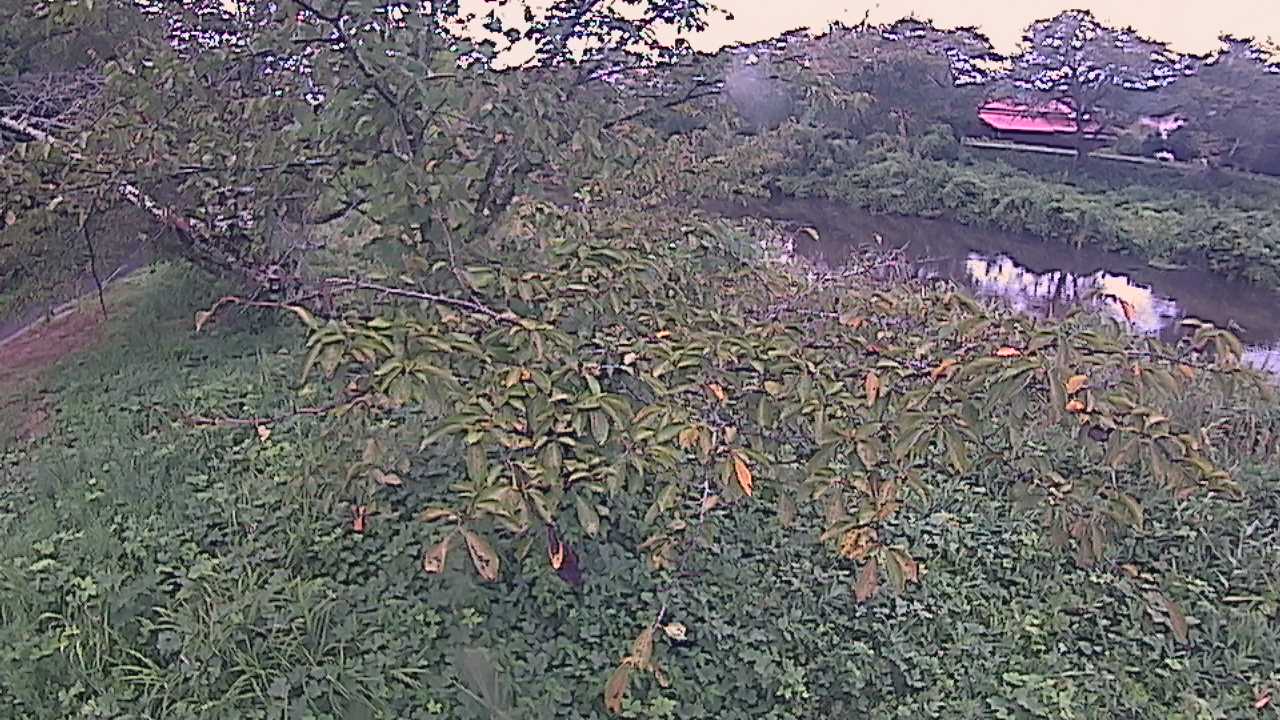 城山　法勝寺川 10k540 左岸