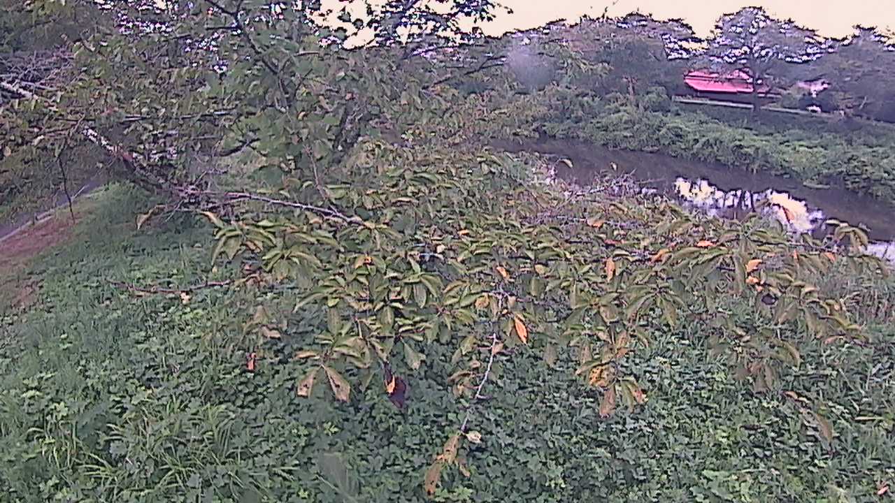 城山　法勝寺川 10k540 左岸