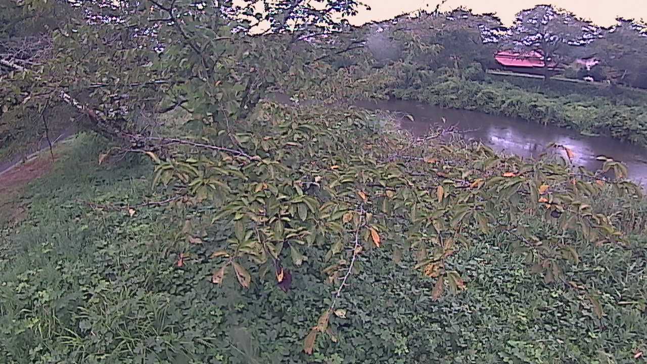 城山　法勝寺川 10k540 左岸