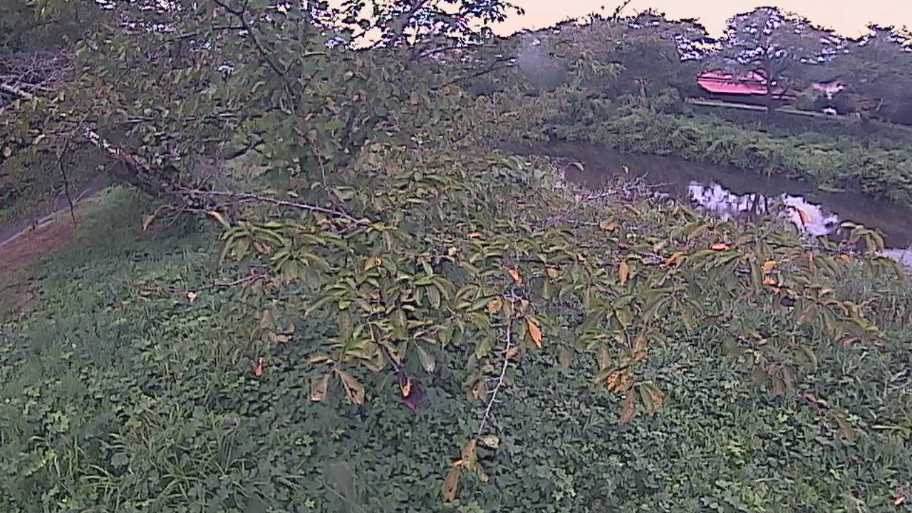 城山　法勝寺川 10k540 左岸
