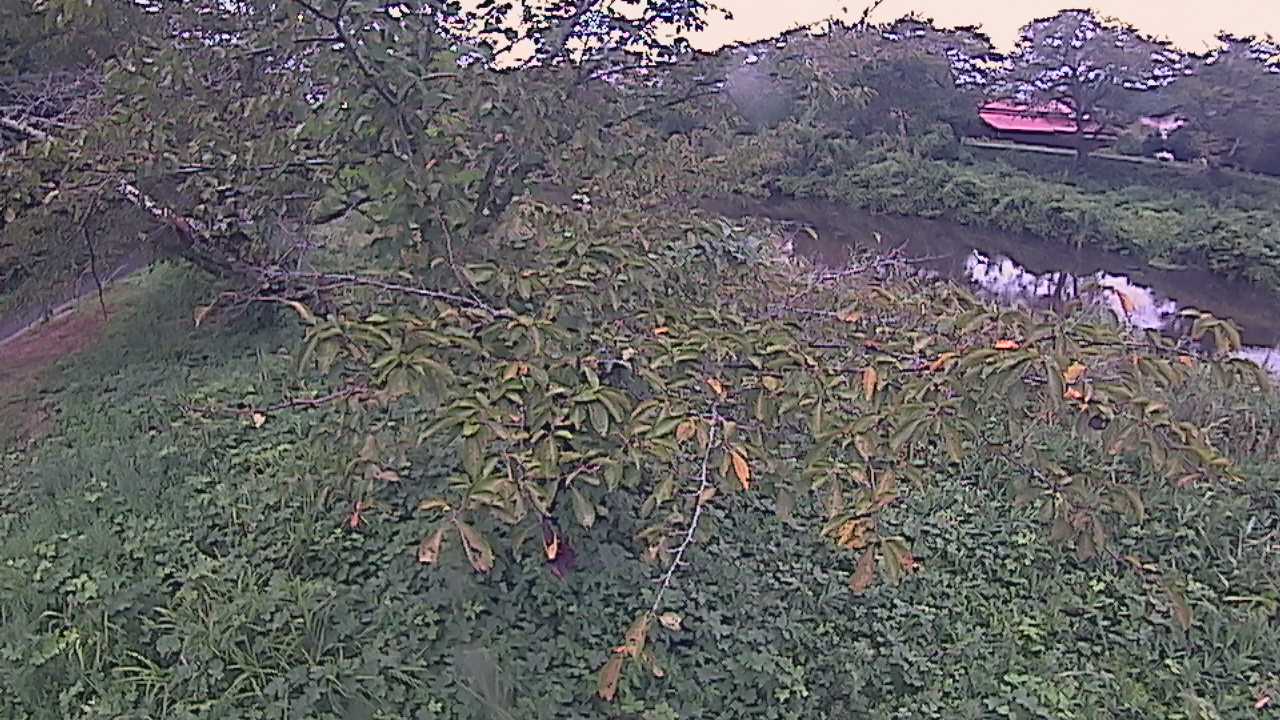 城山　法勝寺川 10k540 左岸
