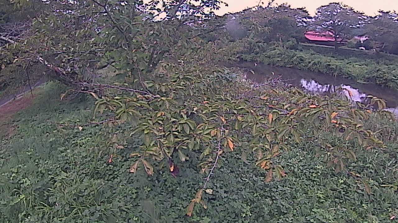 城山　法勝寺川 10k540 左岸