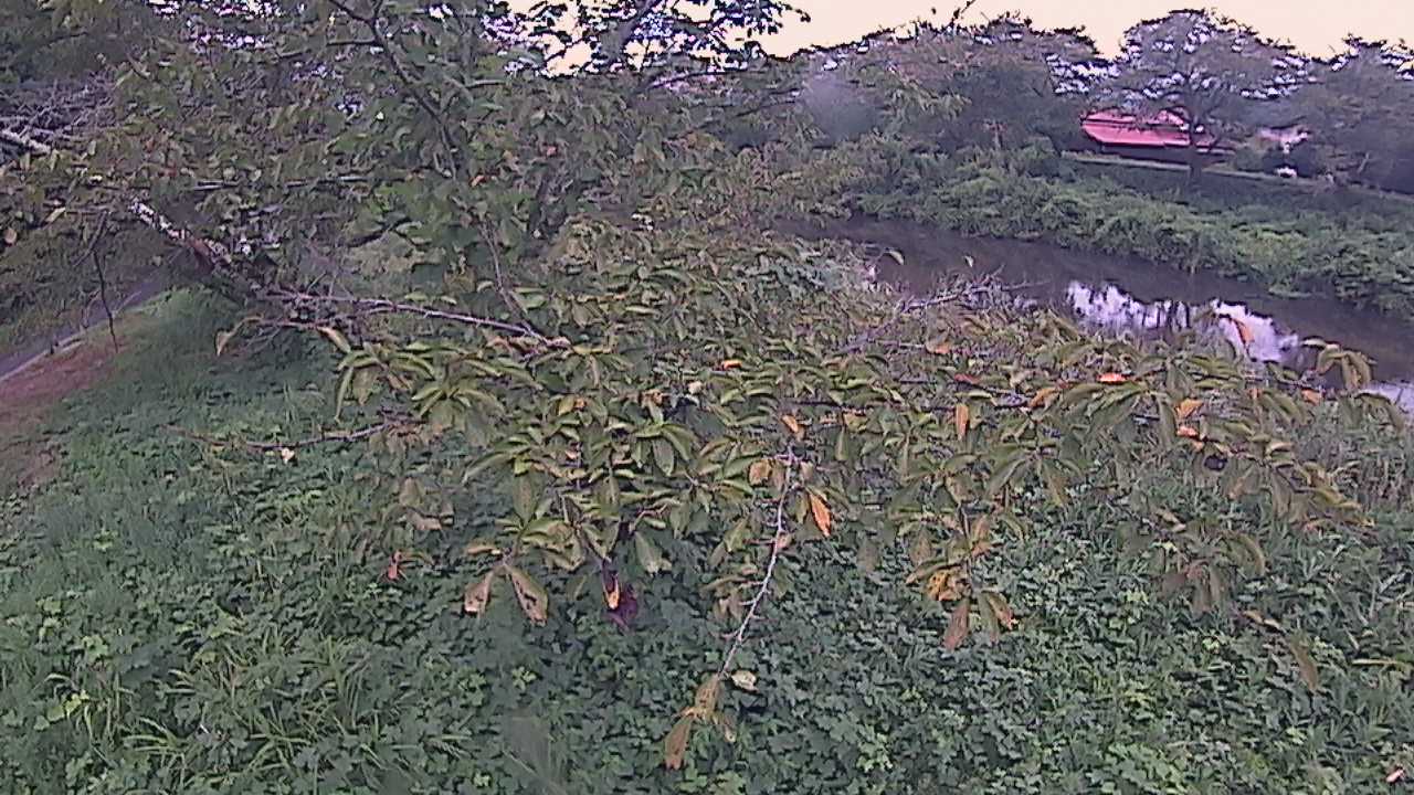 城山　法勝寺川 10k540 左岸