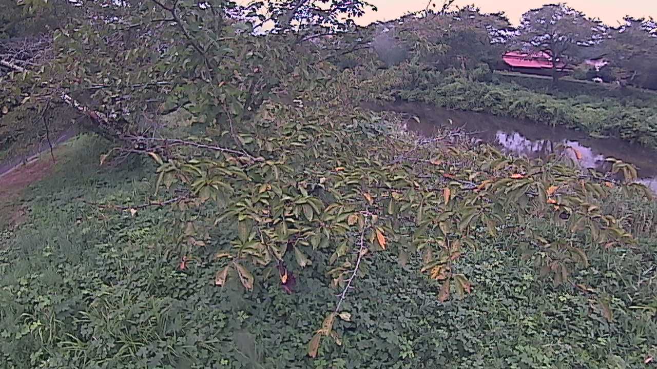 城山　法勝寺川 10k540 左岸