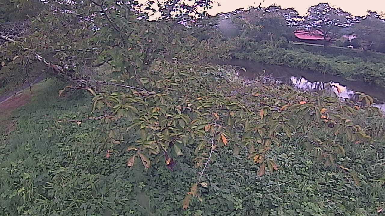城山　法勝寺川 10k540 左岸