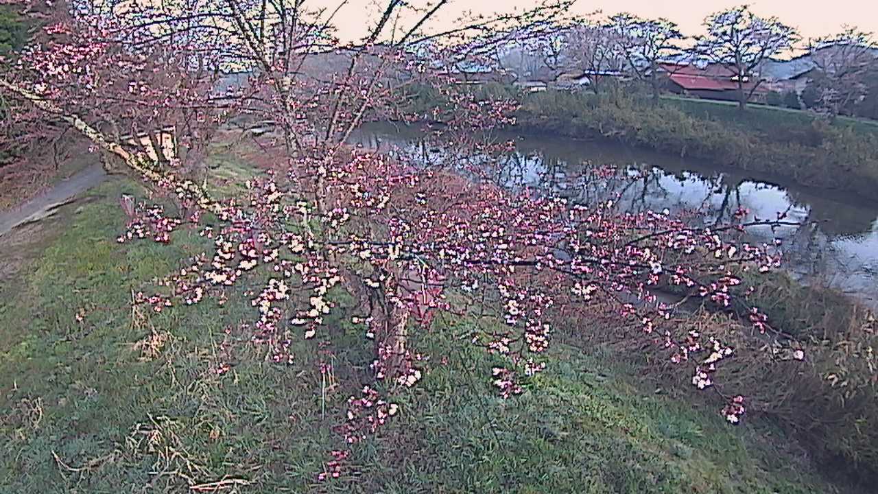 城山　法勝寺川 10k540 左岸