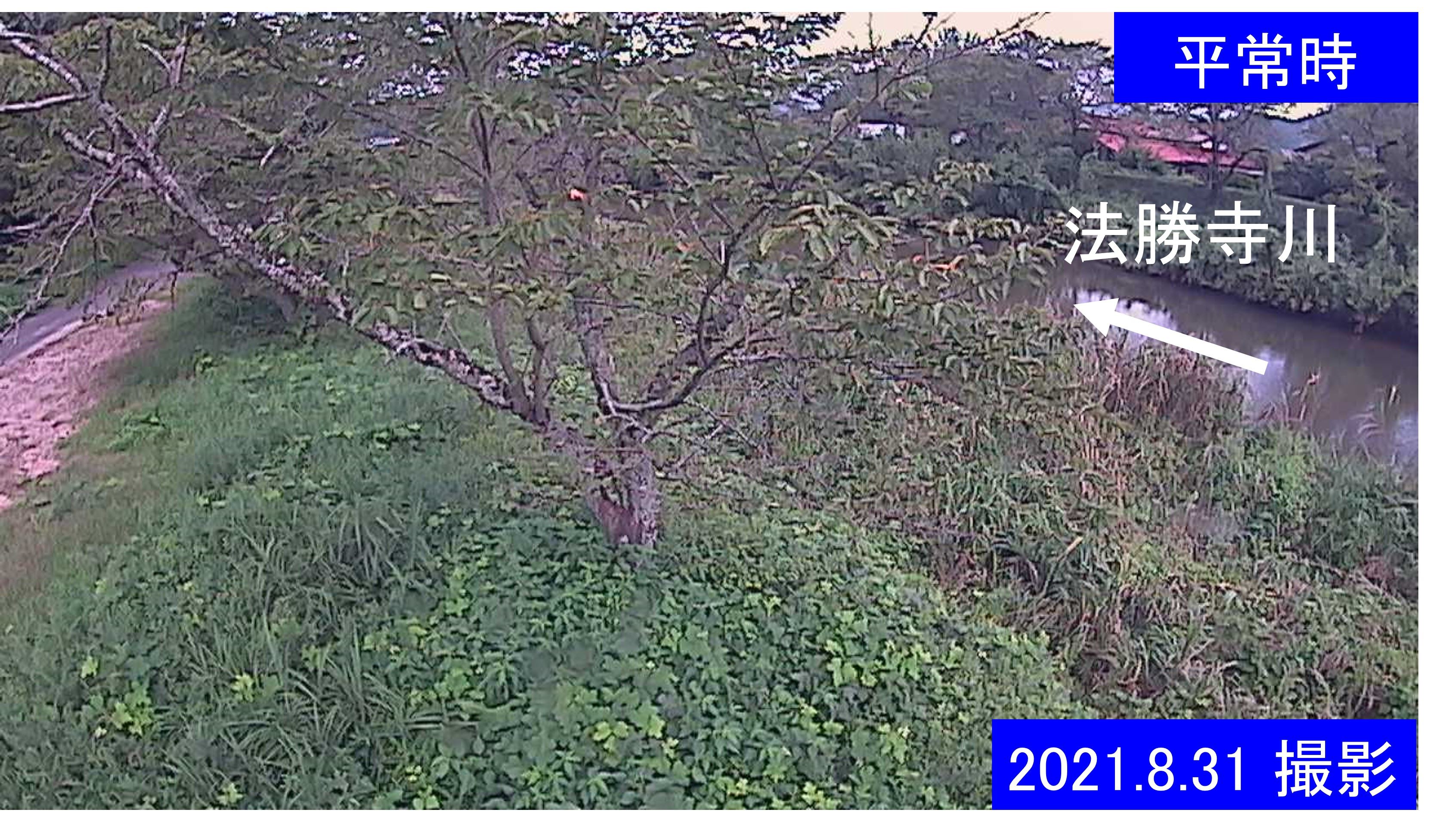 城山　法勝寺川 10k540 左岸(通常の水位)