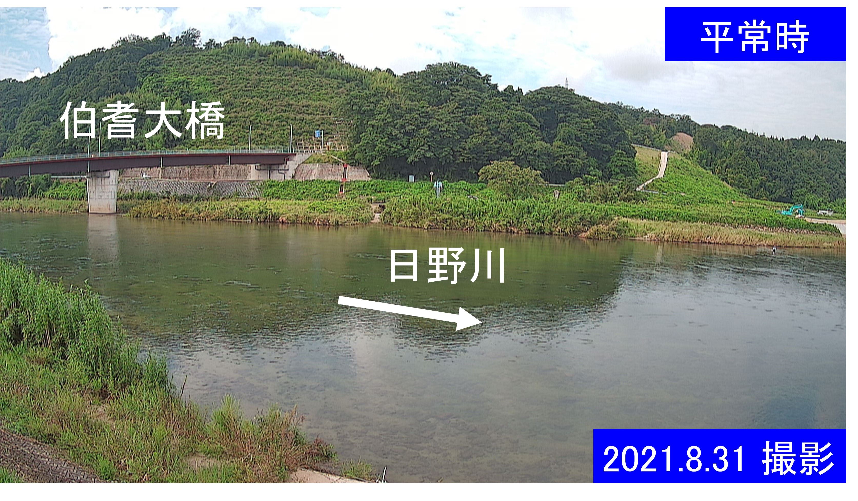 日野川11k200右岸　吉定排水樋門(通常の水位)
