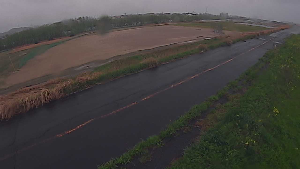 千代川　4.8ｋｍ右岸