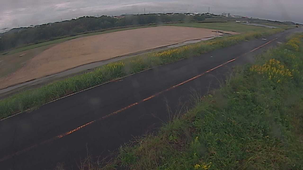 千代川　4.8ｋｍ右岸