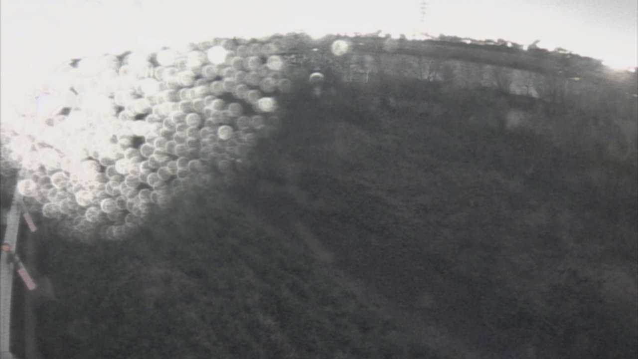 千代川　6.8ｋｍ左岸