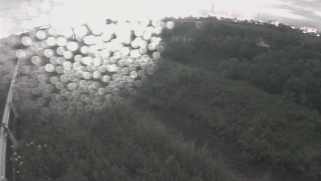 千代川　6.8ｋｍ左岸
