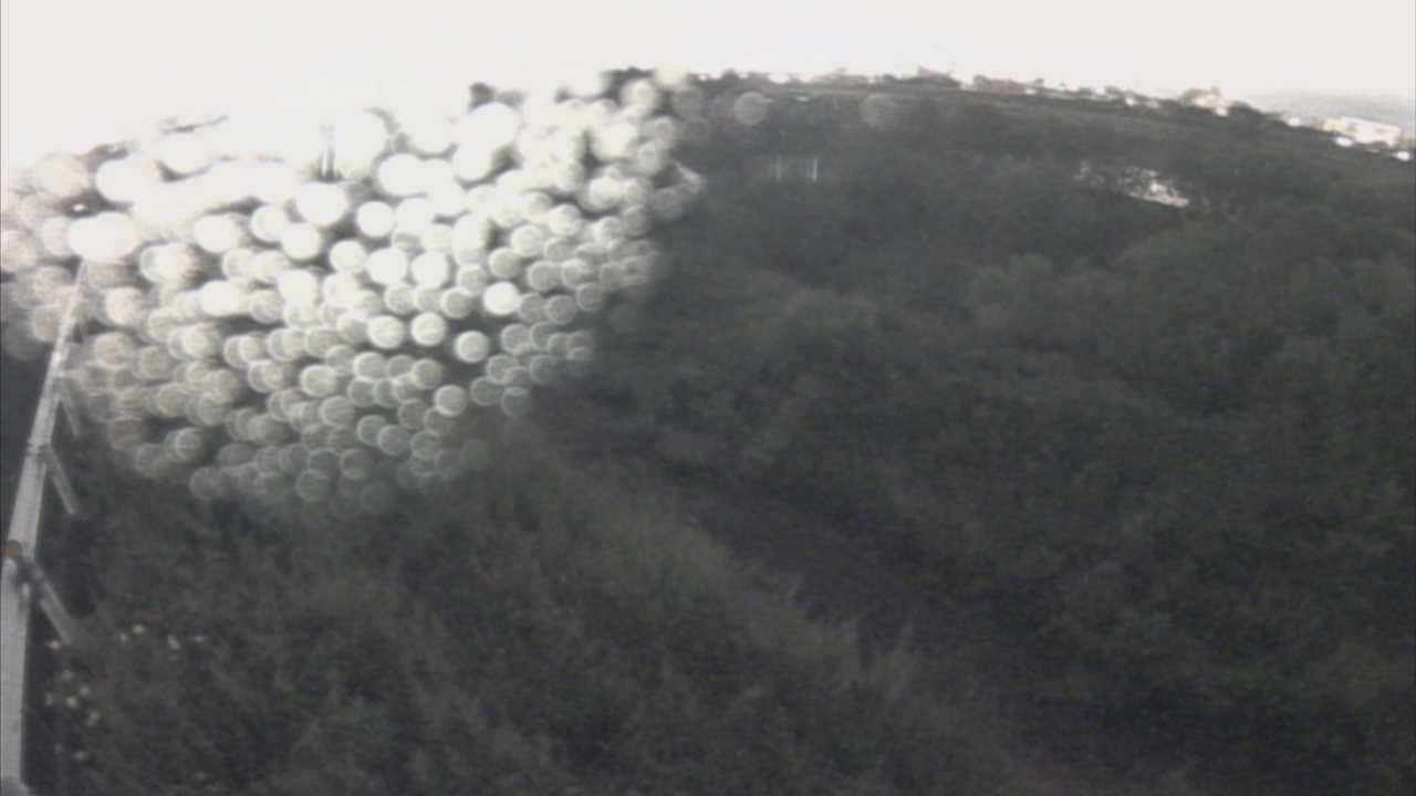 千代川　6.8ｋｍ左岸