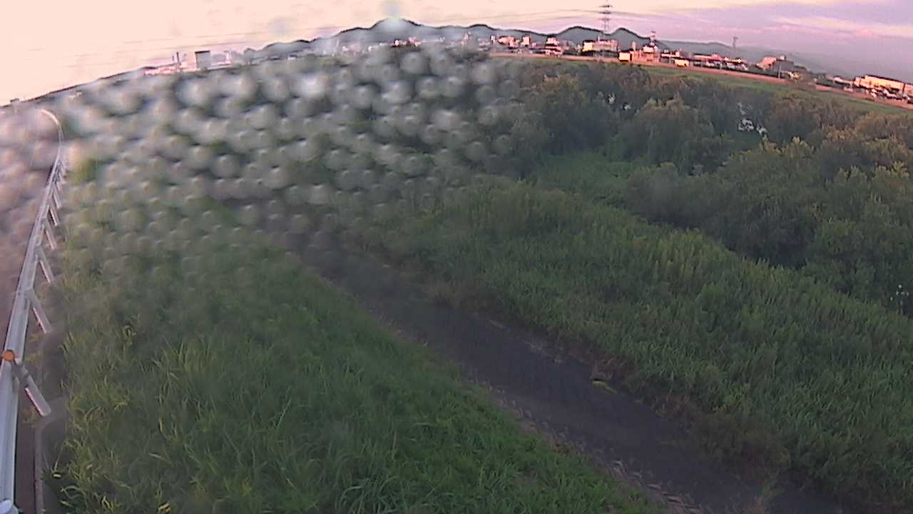 千代川　6.8ｋｍ左岸