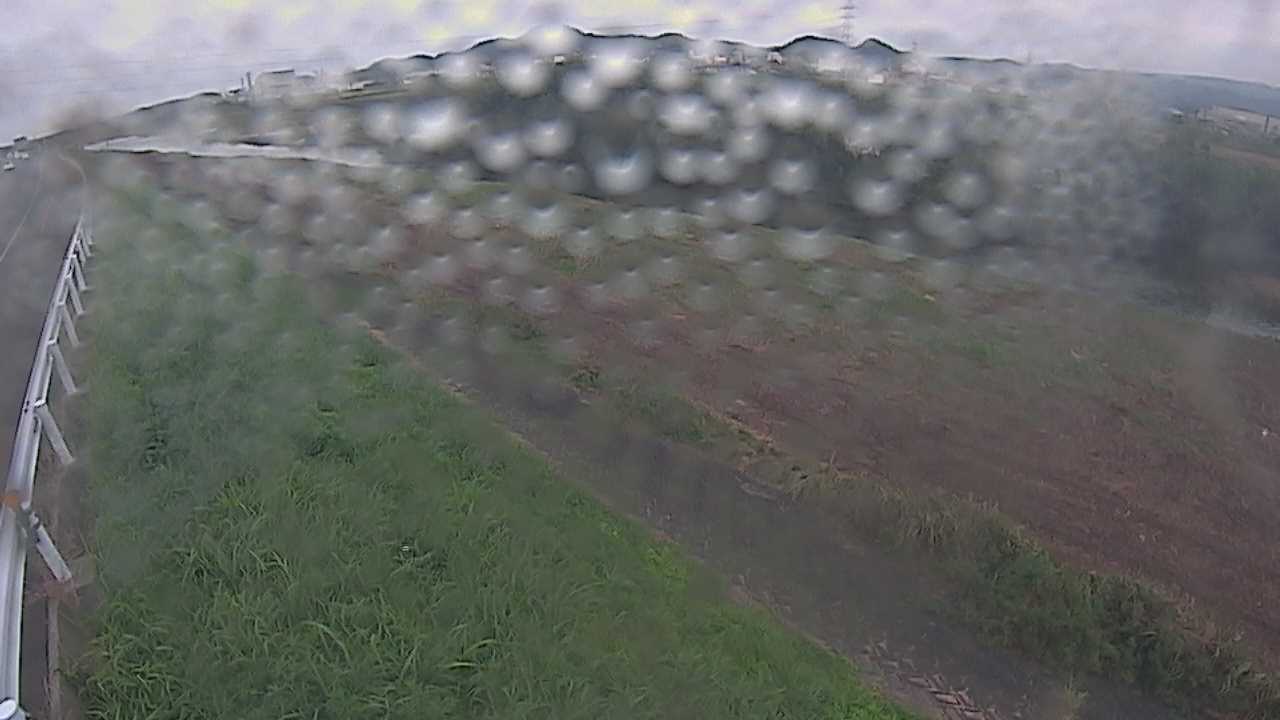 千代川　6.8ｋｍ左岸
