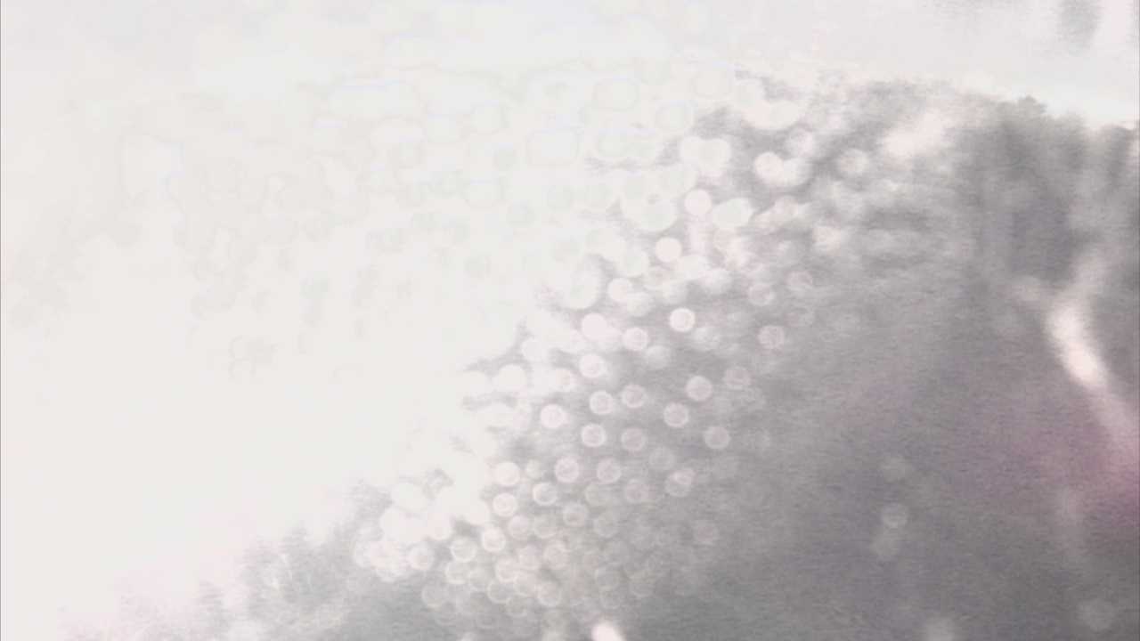 千代川　6.8ｋｍ左岸