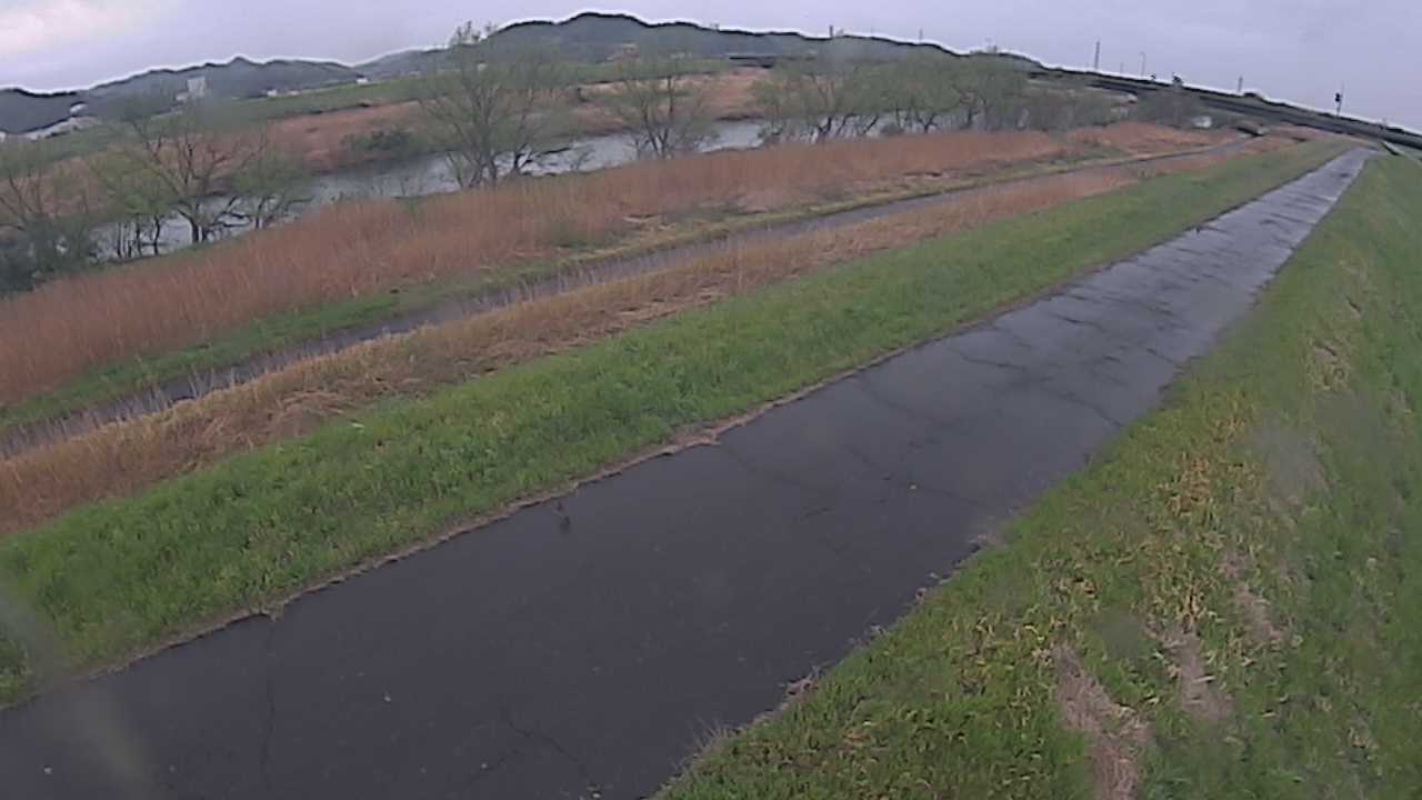 千代川　7.8ｋｍ右岸