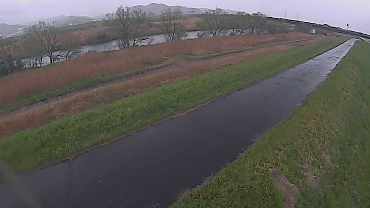 千代川　7.8ｋｍ右岸