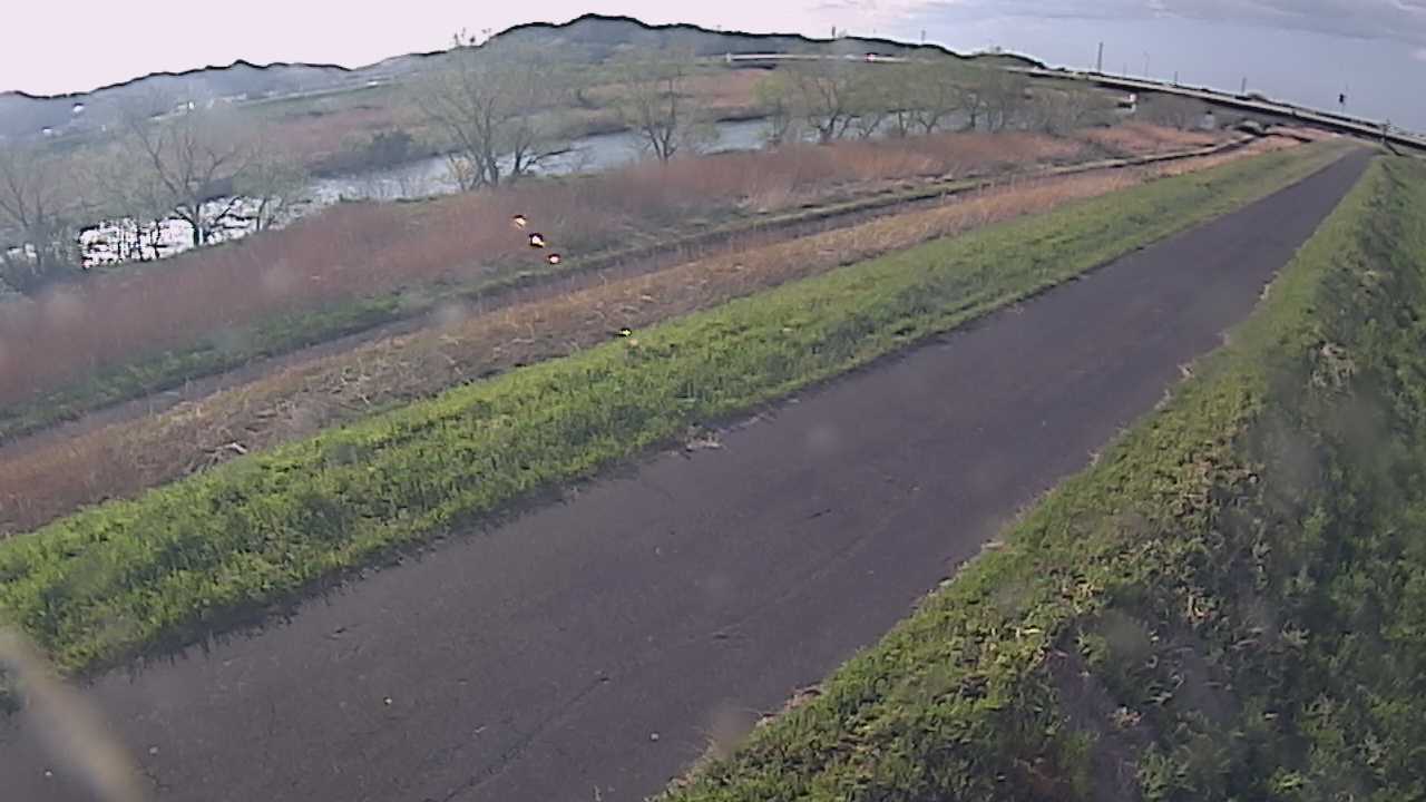 千代川　7.8ｋｍ右岸