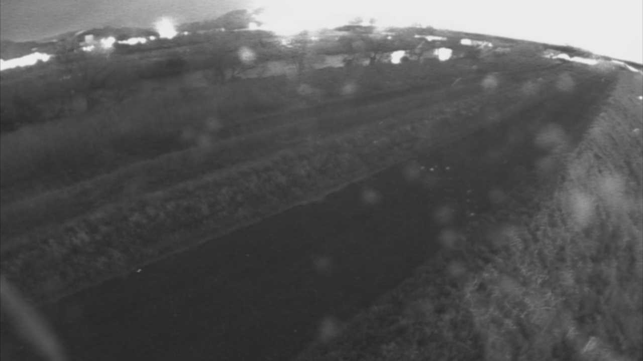 千代川　7.8ｋｍ右岸