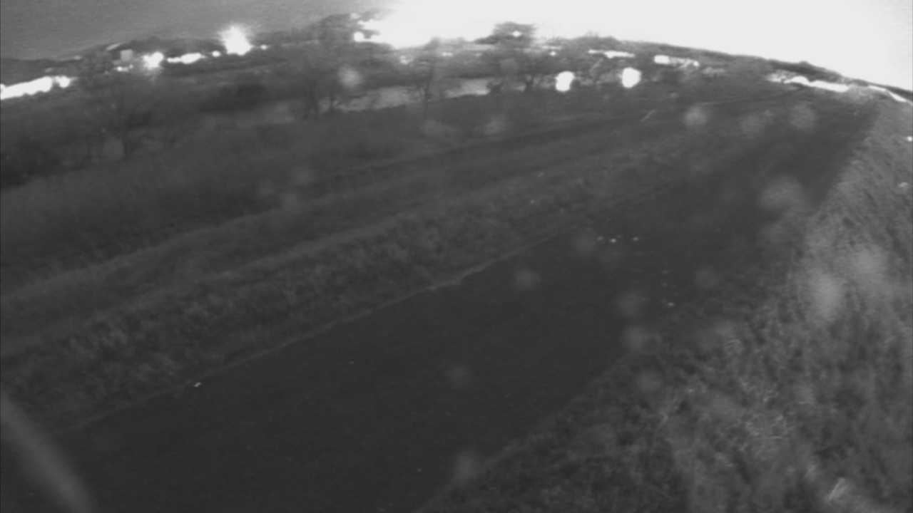 千代川　7.8ｋｍ右岸