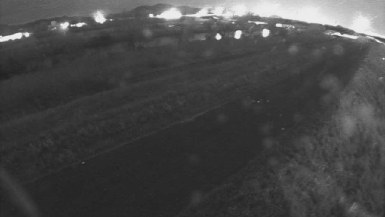 千代川　7.8ｋｍ右岸