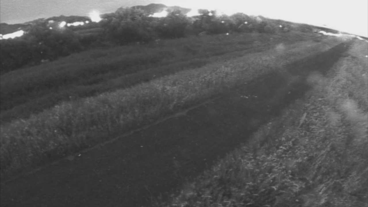 千代川　7.8ｋｍ右岸