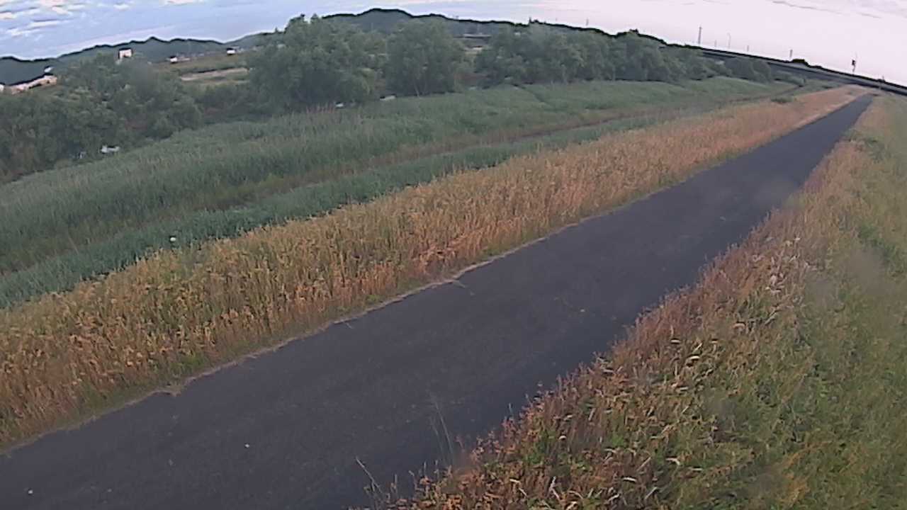 千代川　7.8ｋｍ右岸