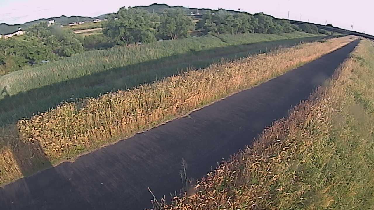 千代川　7.8ｋｍ右岸