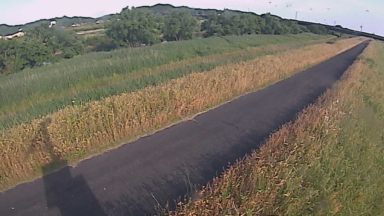 千代川　7.8ｋｍ右岸