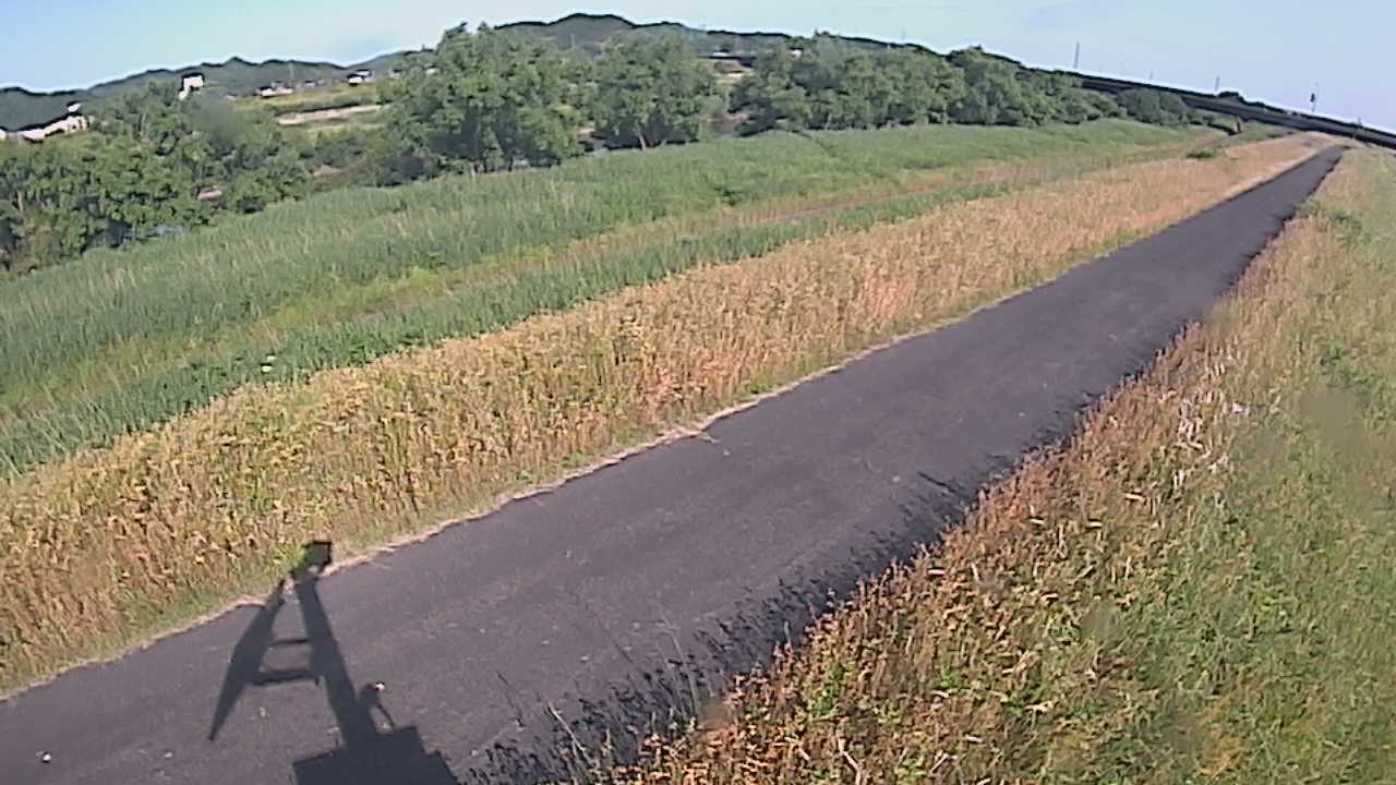 千代川　7.8ｋｍ右岸