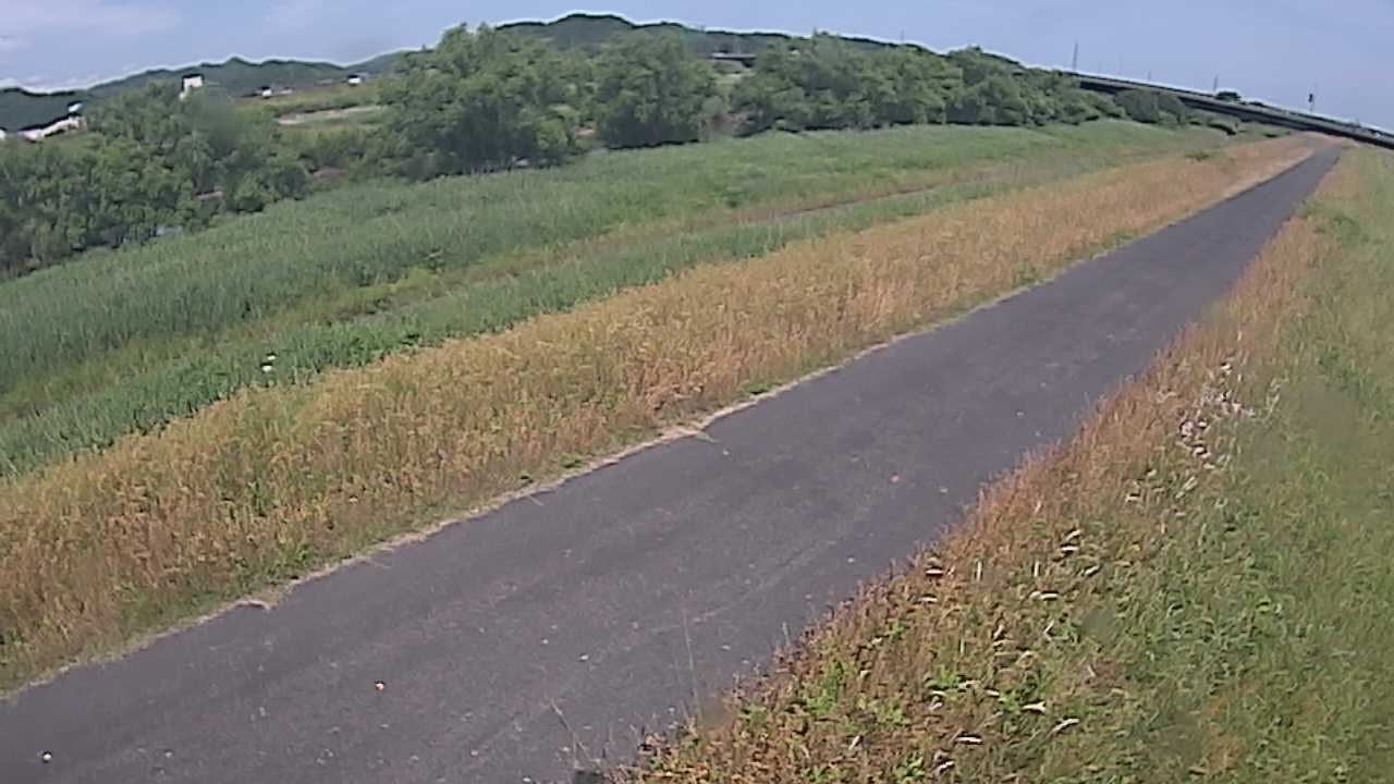 千代川　7.8ｋｍ右岸