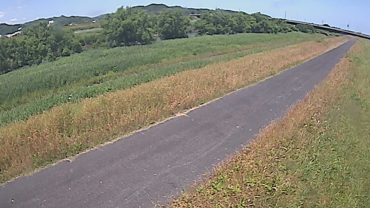 千代川　7.8ｋｍ右岸