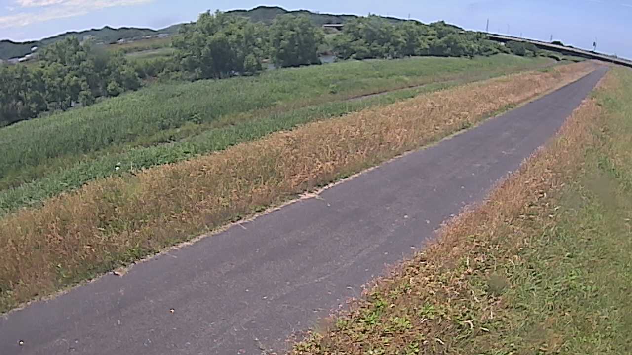 千代川　7.8ｋｍ右岸