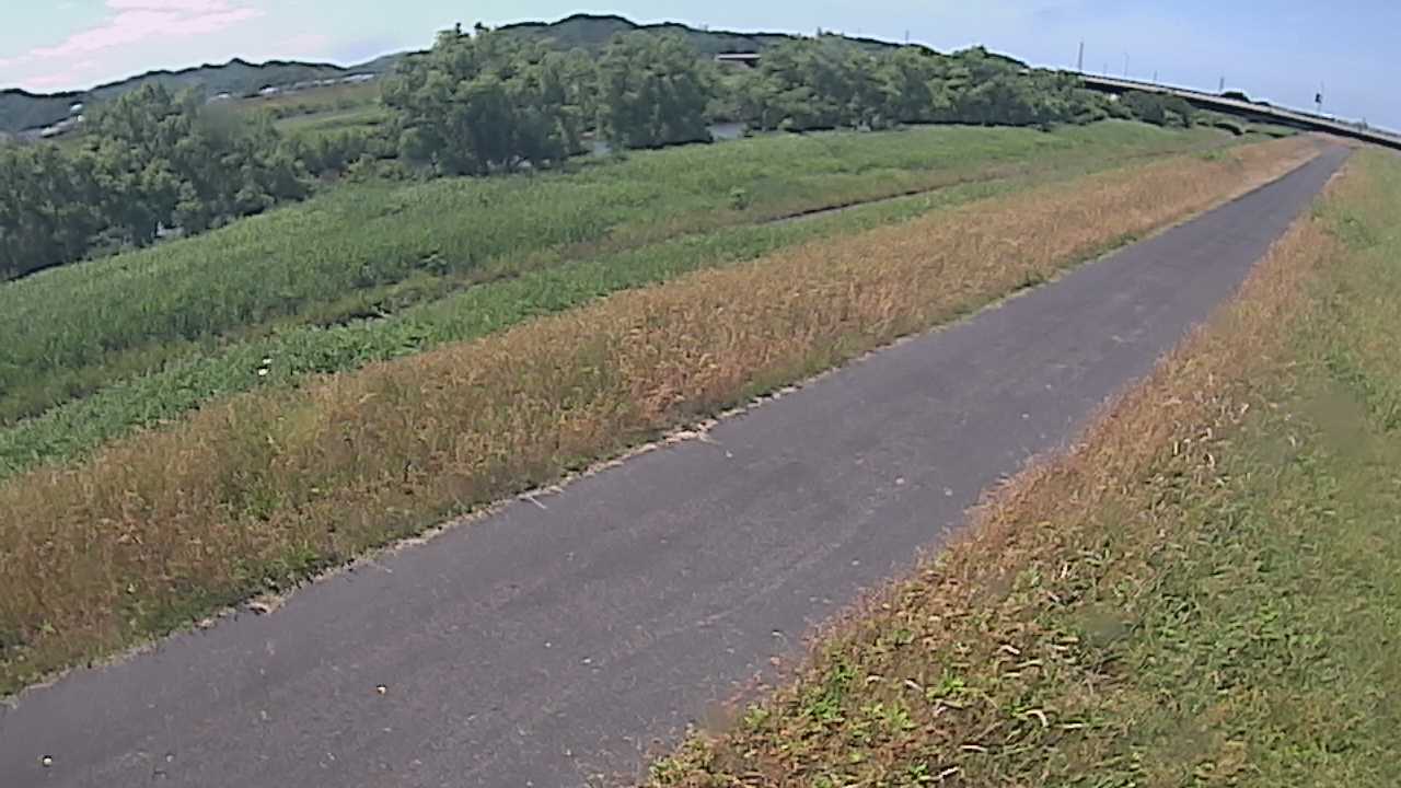 千代川　7.8ｋｍ右岸