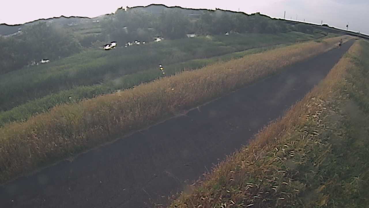 千代川　7.8ｋｍ右岸