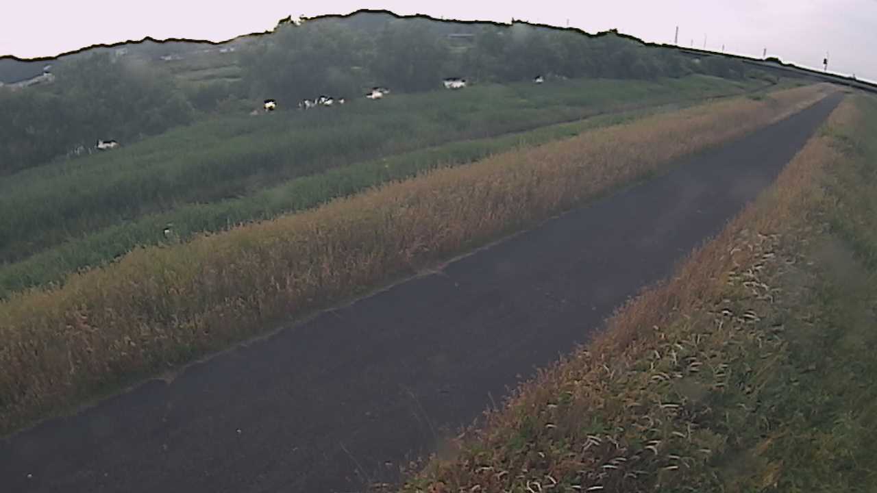 千代川　7.8ｋｍ右岸