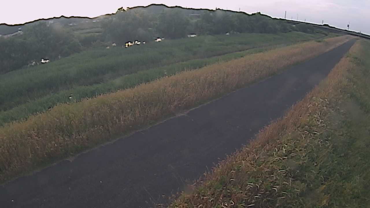 千代川　7.8ｋｍ右岸