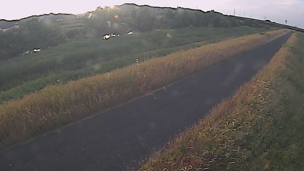 千代川　7.8ｋｍ右岸