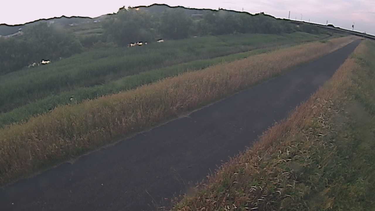 千代川　7.8ｋｍ右岸