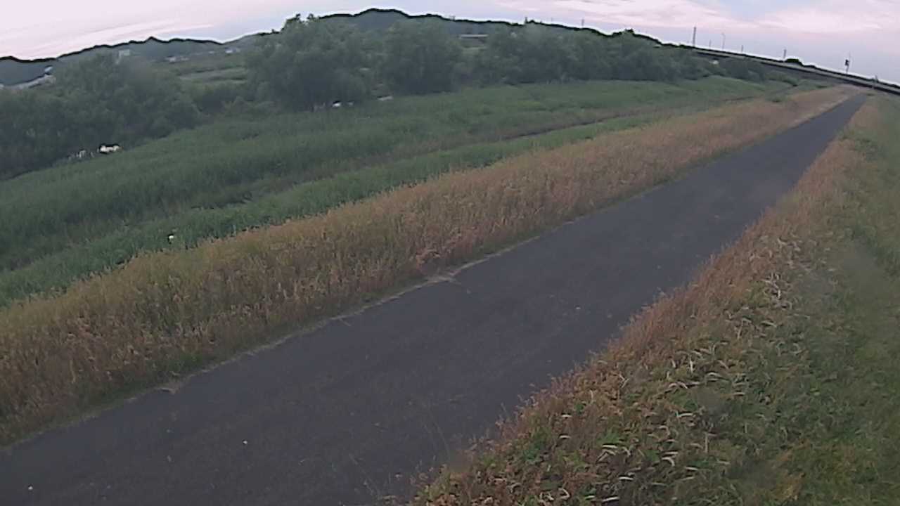 千代川　7.8ｋｍ右岸